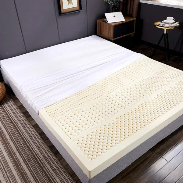 Thailand Natural 100% Latex Mattress Wholesale Student home hotel luxury top Tatami Mat Royal Gift Latex Mats With Cover - Image 6