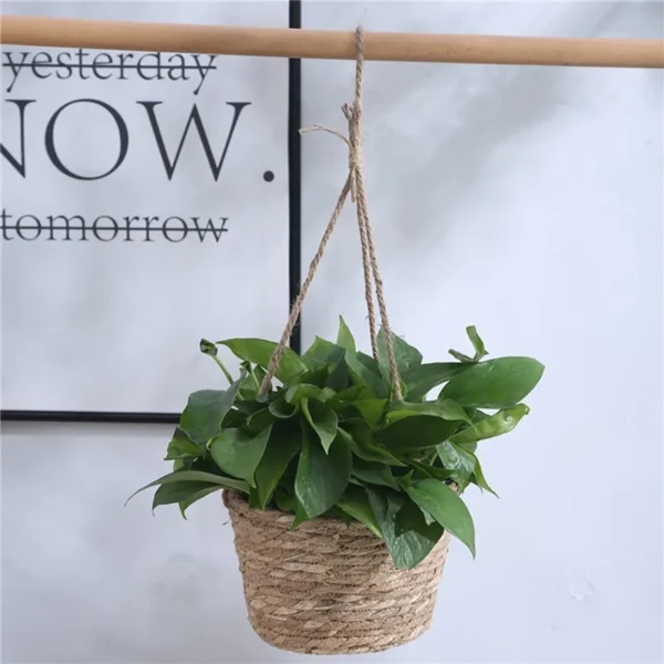 Garden Hanging Planter Macrame Plant Storage Basket Jute Rope Woven Indoor Outdoor Flower Pot Holder Plant Hangers Home Decor - Image 4